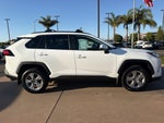 2025 Toyota RAV4 XLE FWD (GS)